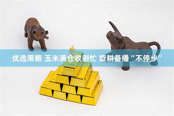 优选策略 玉米满仓收割忙 旋耕备播“不停步”