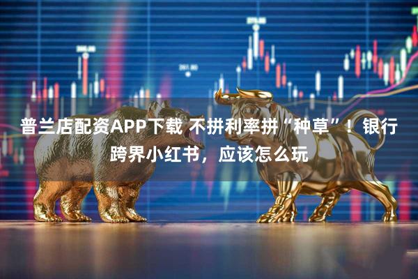 普兰店配资APP下载 不拼利率拼“种草”！银行跨界小红书，应该怎么玩
