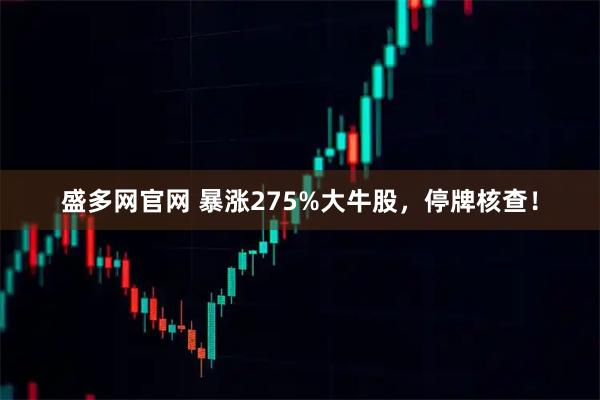 盛多网官网 暴涨275%大牛股，停牌核查！