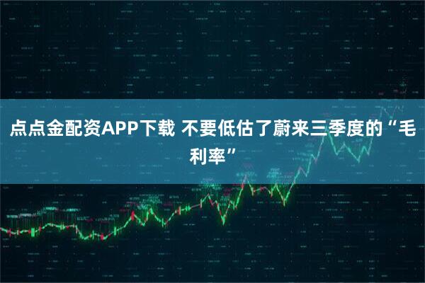 点点金配资APP下载 不要低估了蔚来三季度的“毛利率”
