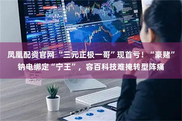 凤凰配资官网 “三元正极一哥”现首亏！“豪赌”钠电绑定“宁王”，容百科技难掩转型阵痛